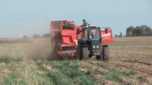 Уборка картофеля в СПК "Гигант"