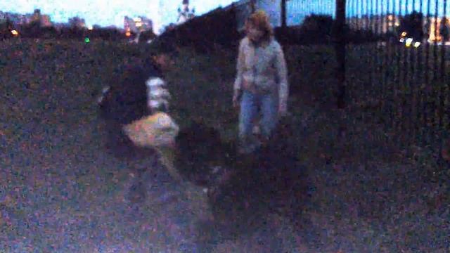 MOV 2879 Самросс Могута Медведь защита владельца