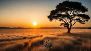 Monkey Safari - Push Me (Original Mix)
              !Organic House!