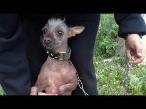 Деактивация подарка за бутылку водки