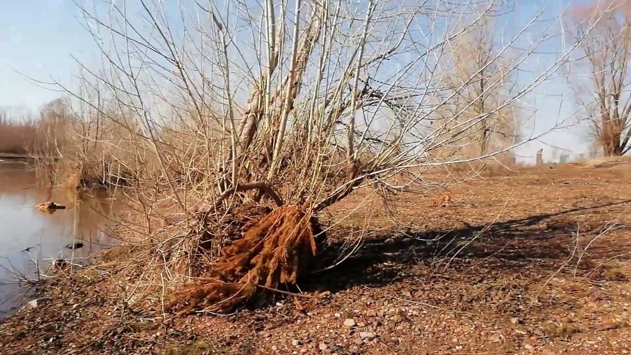 Что происходит на Ашкадаре! Паводок 2020г смотреть онлайн