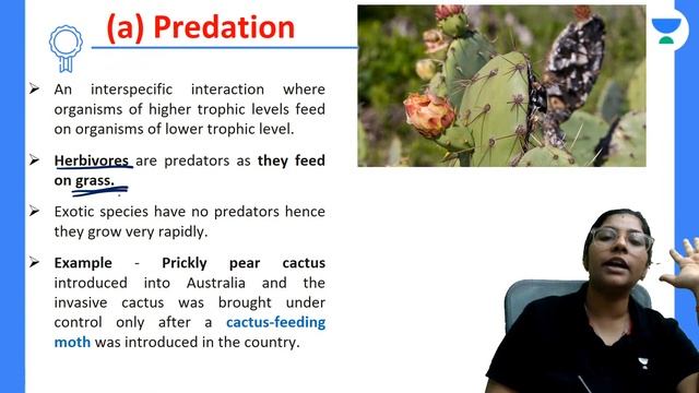 Phoenix 2.0: Biology Most Important Video for NEET 2025 | Udaan смотреть онлайн