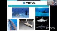 Ocean Expert Exchange: Pioneering Underwater Camera Systems