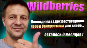 Поставщики Вайлдберриз массово начнут терять продажи в конце 2025 - начале 2026 года