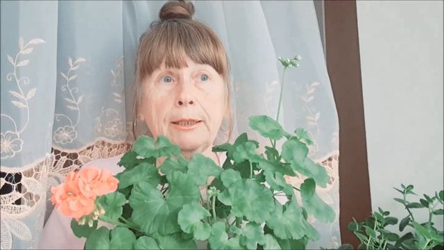 СУПЕР ЦВЕТЫ КАЛАЧИКИ ЦВЕТУТ ЦЕЛОЕ ЛЕТО смотреть онлайн