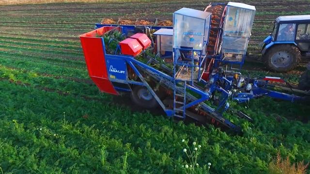 ASA-LIFT T-200 DF Rostov / Agronero. Морковоуборочный комбайн / Carrot harvester смотреть онлайн