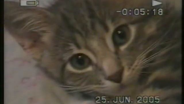 18 лет назад и я был шкет смотреть онлайн