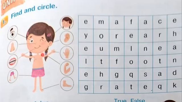 Будна 2 кл ст. 61 + зошит ст 45 смотреть онлайн