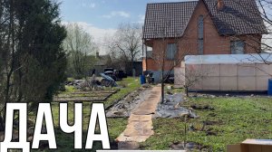 Дача 19 апреля 2025.