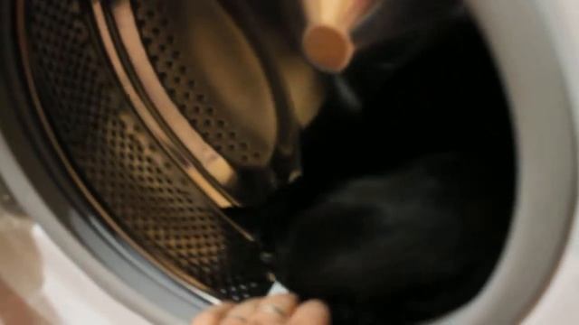 Нычка для кота смотреть онлайн