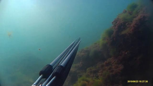 Подводная охота 2019 смотреть онлайн