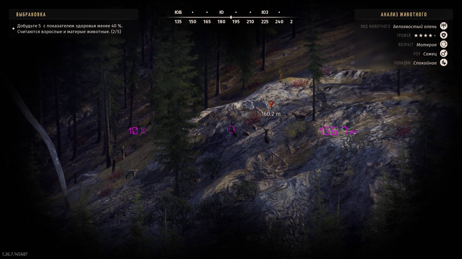 Way of the Hunter