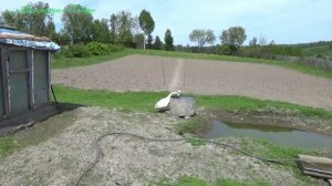 Гошка меня испугал!