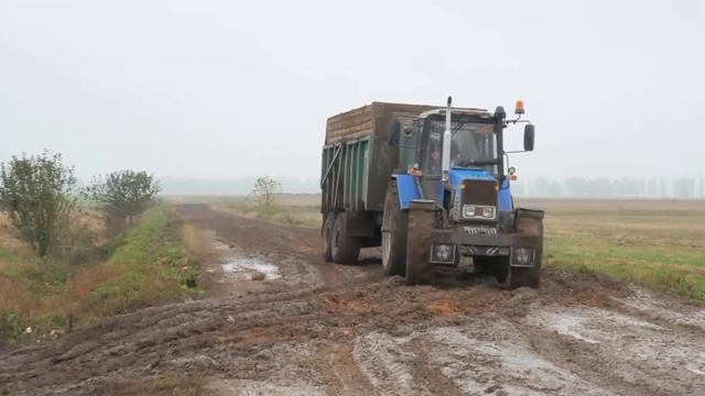 Юбилейное 100 видео 👍👍👍👍👍 смотреть онлайн
