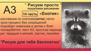 Енот часть 14 Рисунок карандашом БЕСПЛАТНО процесс БЕЗ СОКРАЩЕНИЙ с помощью сетки ПОШАГОВО
