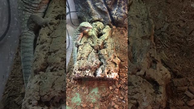 12 апреля 2019 г. смотреть онлайн