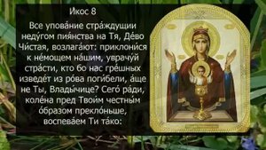 Акафист молитва Неупиваемой Чаше