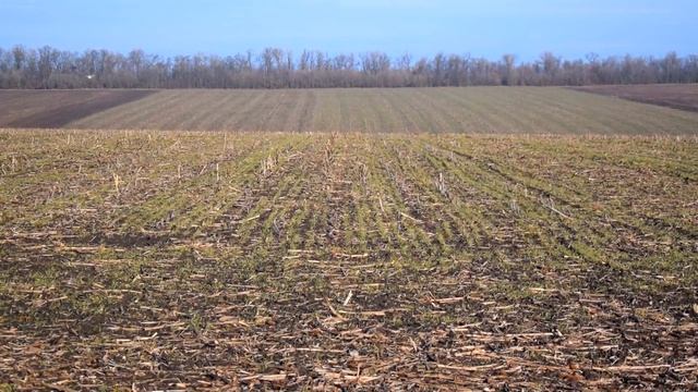 Миші є ? - А якщо знайду? смотреть онлайн