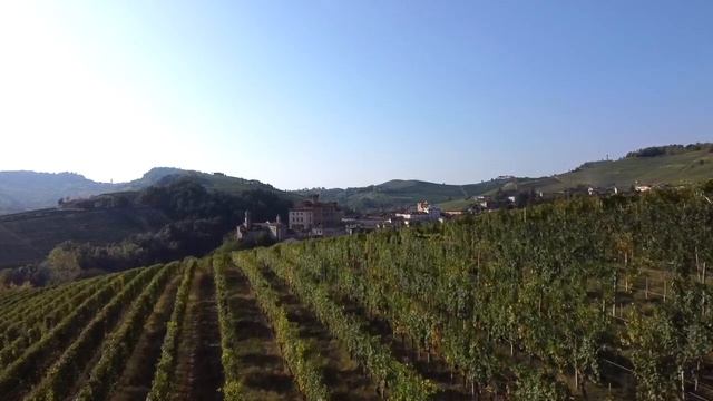 “Il vino italiano sul tema della sostenibilità si merita un 8, ma si può migliorare ancora”. смотреть онлайн