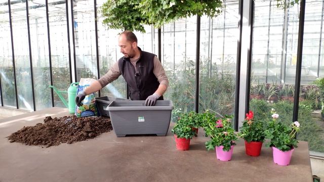 Gerani su terrazzi e balconi смотреть онлайн