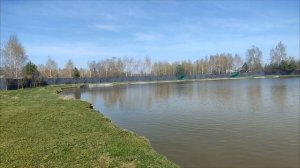 Дом с личным прудом