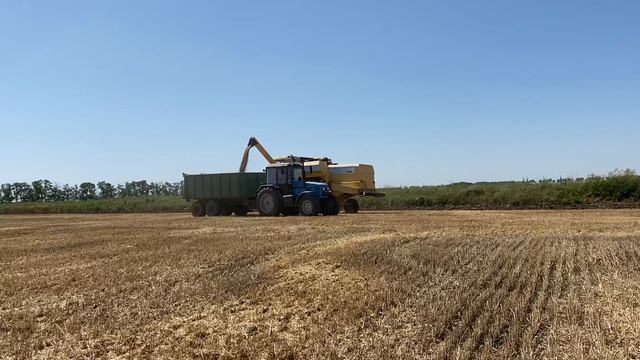 Уборка озимой пшеницы 2020 смотреть онлайн