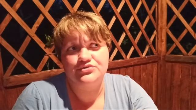 Стрим о комарах, непослушных котах и о том, что все хорошо))) смотреть онлайн