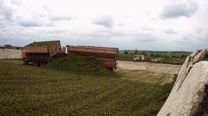 Заготовка сенажа 2017 ООО ПХ ЛАЗАРЕВСКОЕ