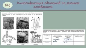 ВПР по биологии7 класс 2025 (№ 9)