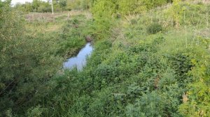 Ручей в деревне, деревенская прогулка, жизнь в деревне
