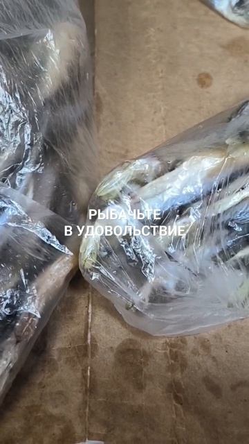 Вяленая корюшка. смотреть онлайн