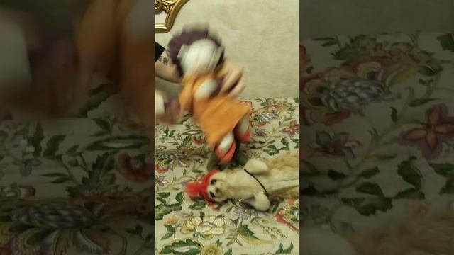 Фан клип "КОРОЛЬ И ШУТ" РАЗБЕЖАВШИСЬ ПРЫГНУ СО СКАЛЫ... смотреть онлайн