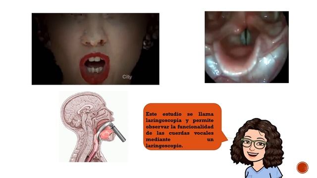 Biologia - Aparato Respiratorio смотреть онлайн