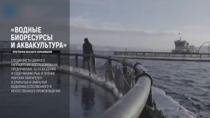 ВШРиМТ