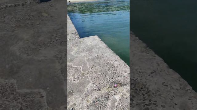 Море в смартфоні. 02.08.24. Підтримка автора 4149 6090 2565 0906.