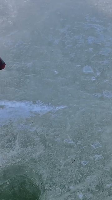 Гигантский окунь вырывает удочку из рук. Окунь на мормышку #рыбацкий #рыбалка #рыбалкавбашкирии смотреть онлайн