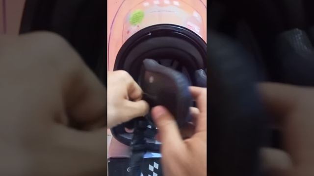 Helm Shel Rover Saber Glossy смотреть онлайн