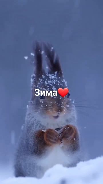 Красивая зима💝 смотреть онлайн