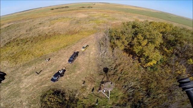Съемка гнезда дальневосточного аиста с гексакоптера в Амурском заказнике 2014 смотреть онлайн