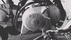 Shorts про питбайк.