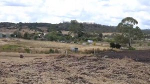 barham compound may 2020