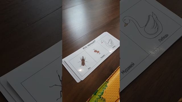  Прочитай и ответь.....