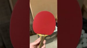 TIBHAR EVOLUTION MX-D