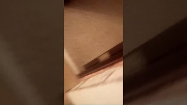 Моя сестра смотреть онлайн