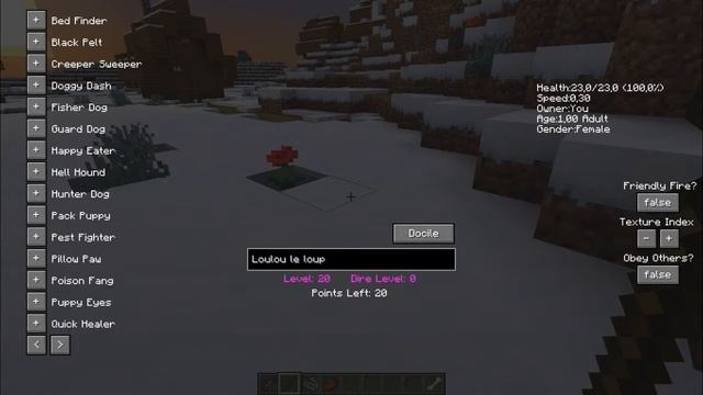 Rend ton chien INVINCIBLE ! Doggy Talents Mod [1.17.1 - 1.7.10] смотреть онлайн