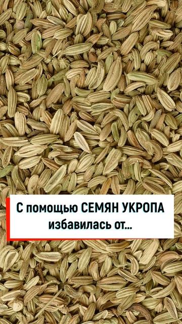 СЕМЕНА ВОЗРОЖДЕНИЯ смотреть онлайн