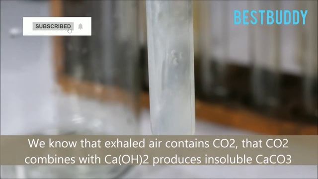 CO2 turns lime water milky | class 10 life process Activity 6.4 смотреть онлайн