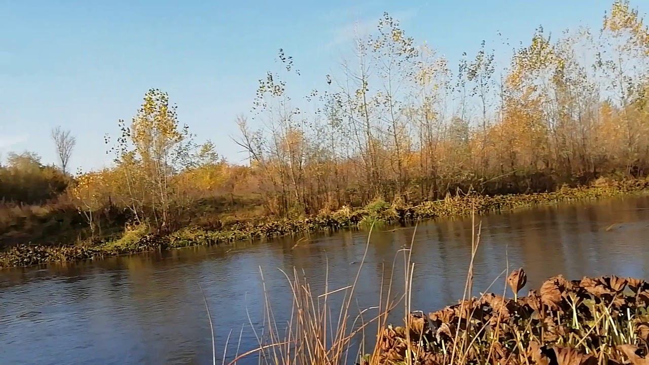 С добрым осенним утром! 06.10.2019 смотреть онлайн