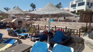 hilton sharks bay resort 4* 2021 пляж отеля.