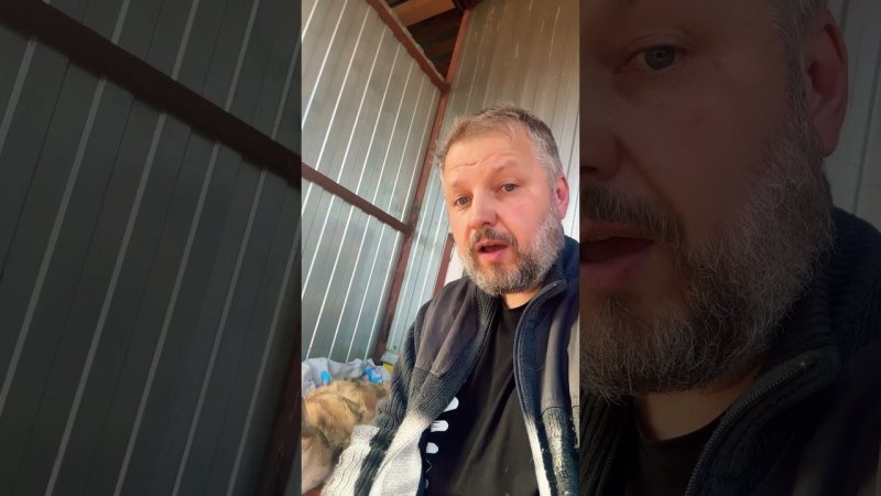 Приходите в наш телеграмм Хвостатое счастье